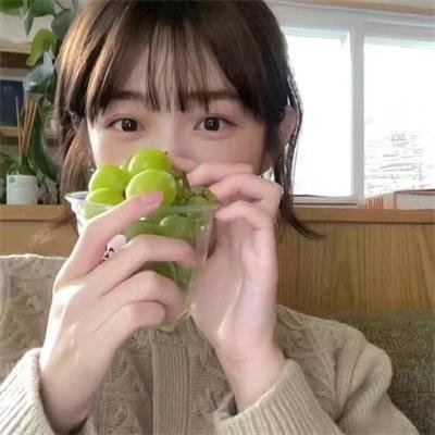 非洲孤狼